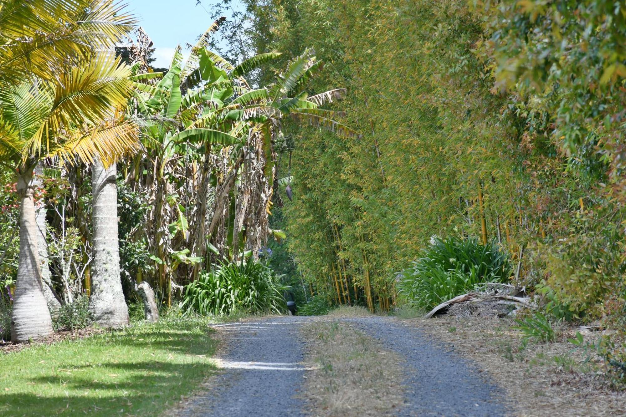 Kerikeri Bedroom And Lounge 外观 照片